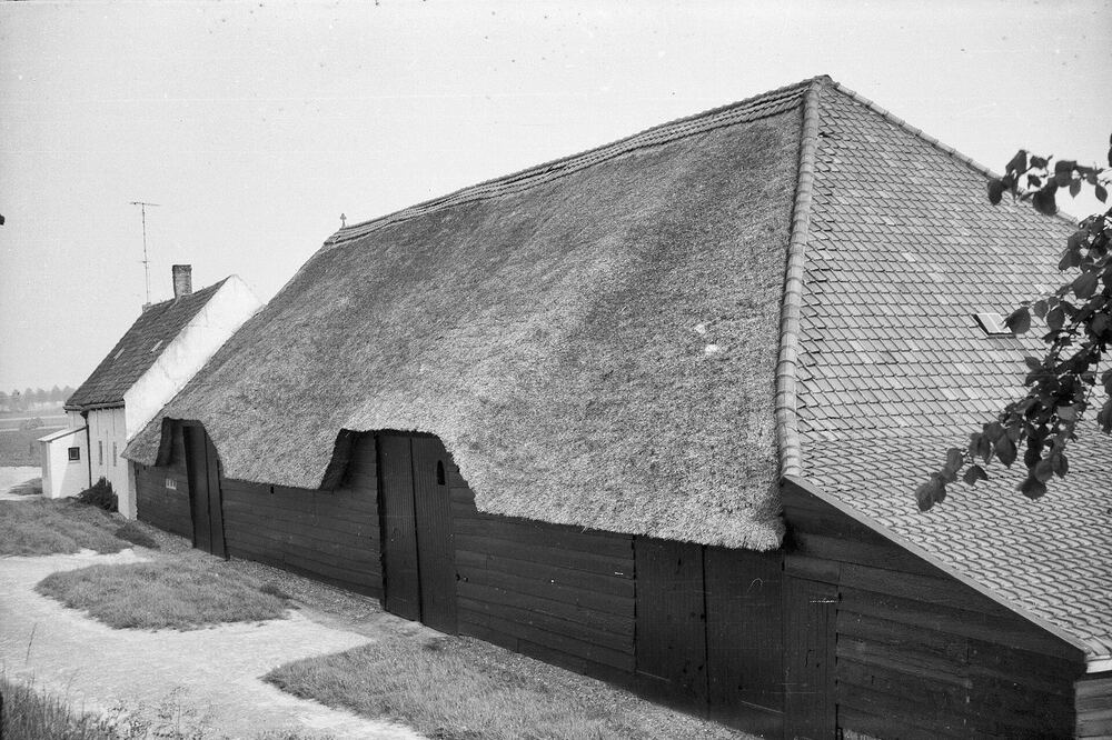 Historische opname van een rietgedekte Zeeuwse schuur aan de Westdorpserweg in Baarland