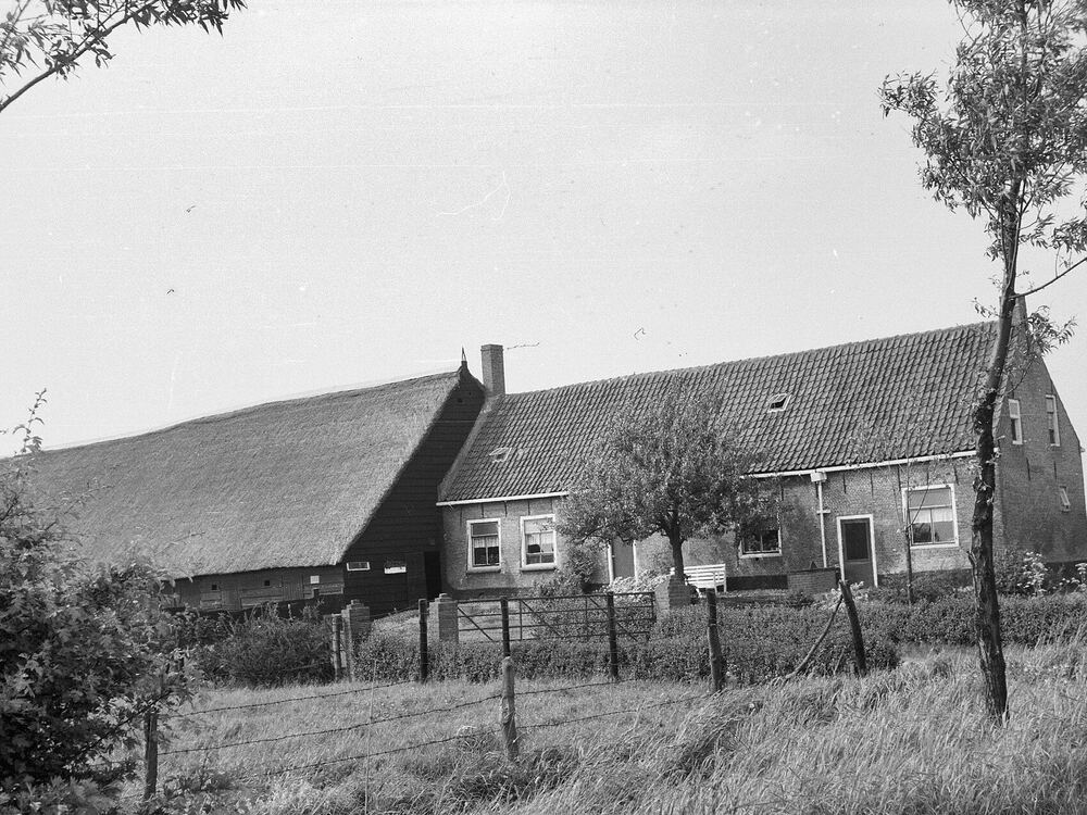 Historische opname van boerderijen aan de Westdorpserweg in Baarland